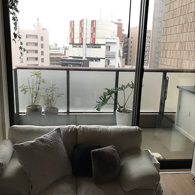 Kiseさんの実例写真