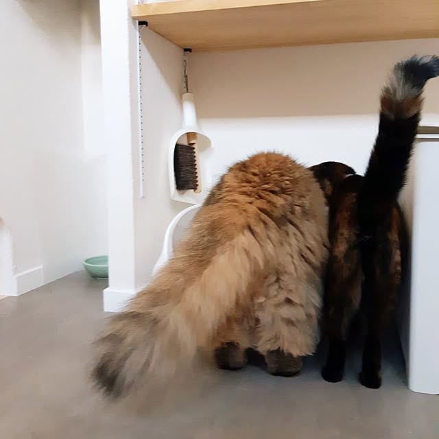 nanoさんの実例写真