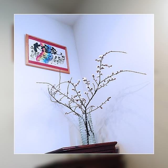 ka-zuさんの実例写真