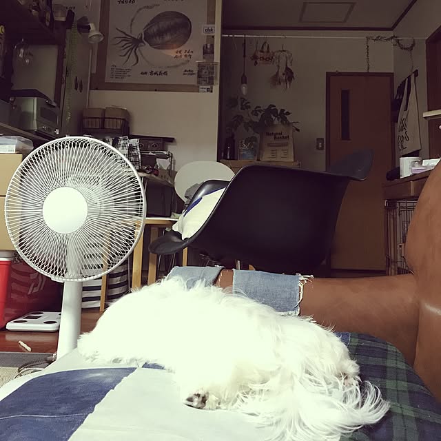 mtaさんの実例写真