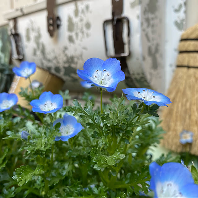 Kuniさんの実例写真