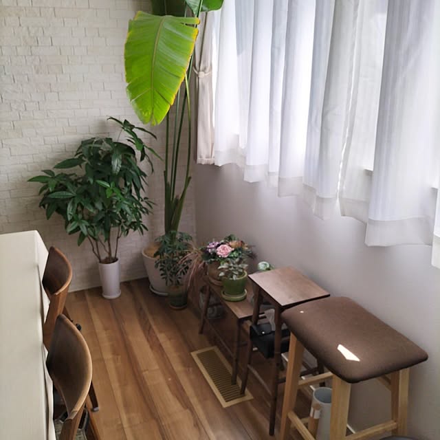 coco0.84.さんの部屋