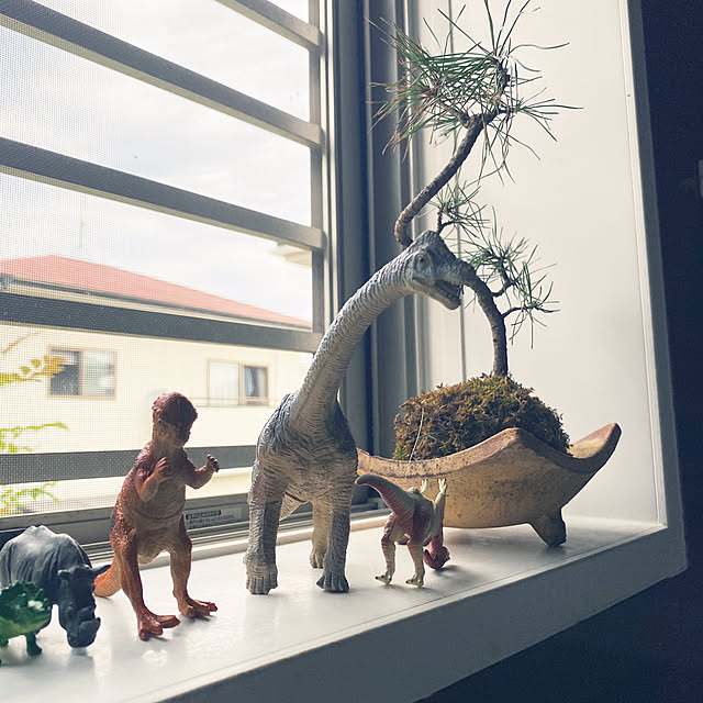 kotaroさんの部屋