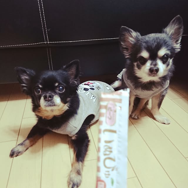 lovepeaceさんの実例写真
