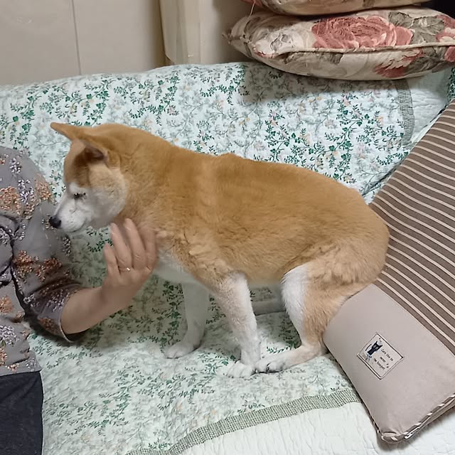 cocosuke117さんの実例写真