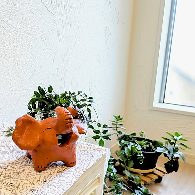 yuuuuさんの部屋