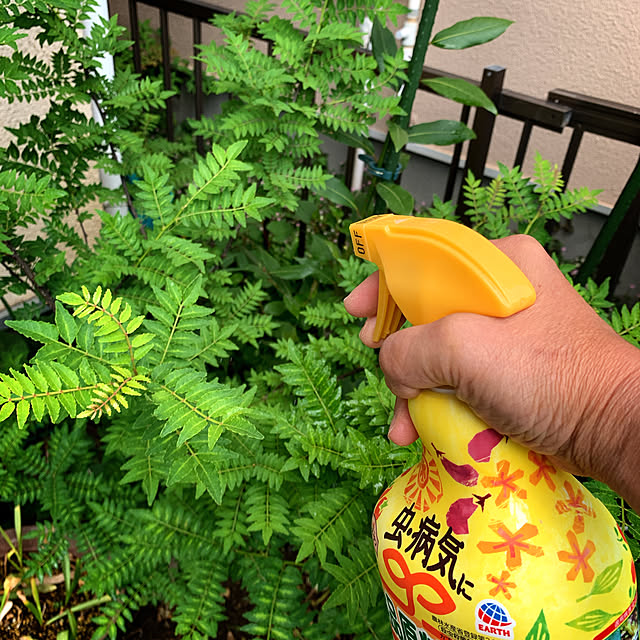 eshinobumさんの実例写真