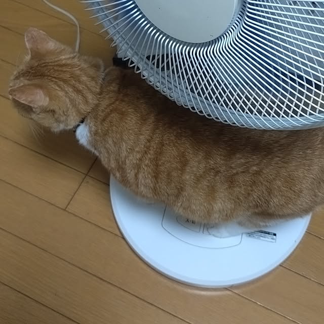 NOAHさんの部屋