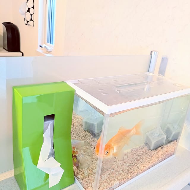 ryouさんの実例写真