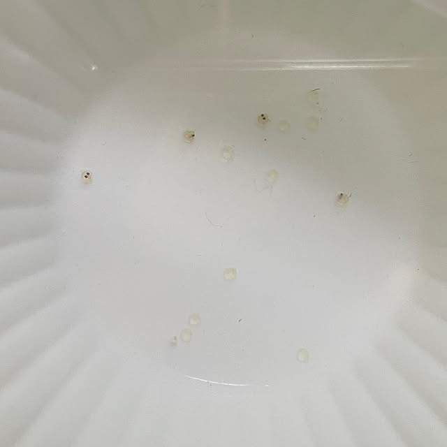 sayakaさんの部屋