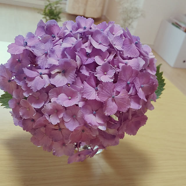 Pi.simple.さんの実例写真