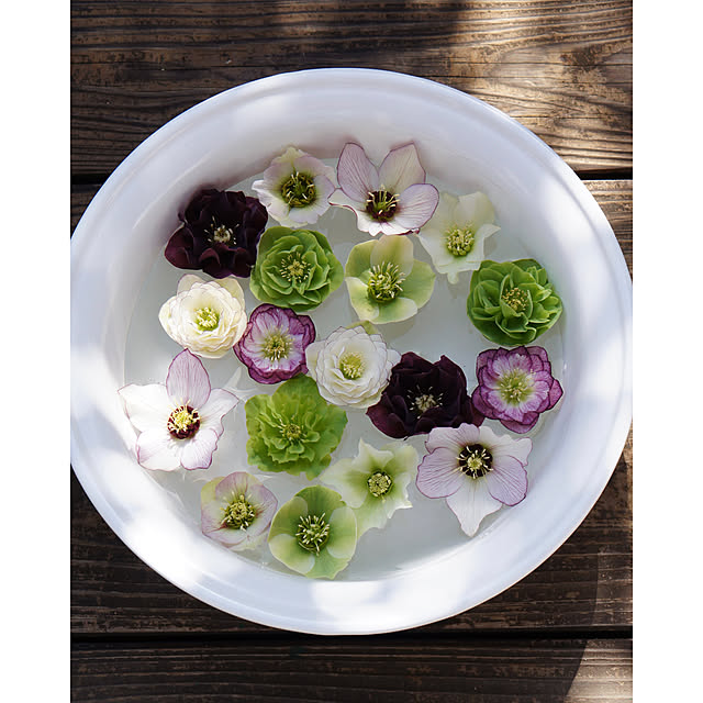 noriflowerさんの部屋