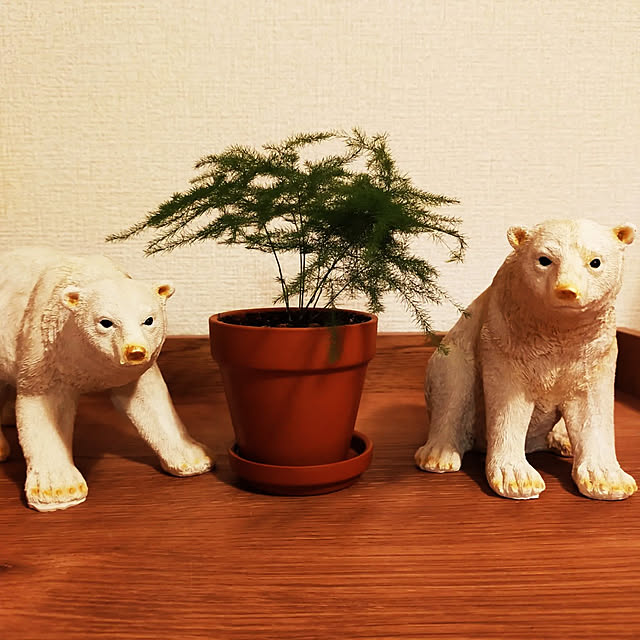 nnk.akさんの実例写真