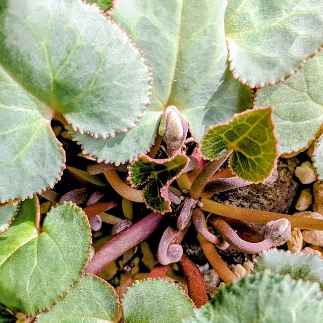 mi-saさんの部屋