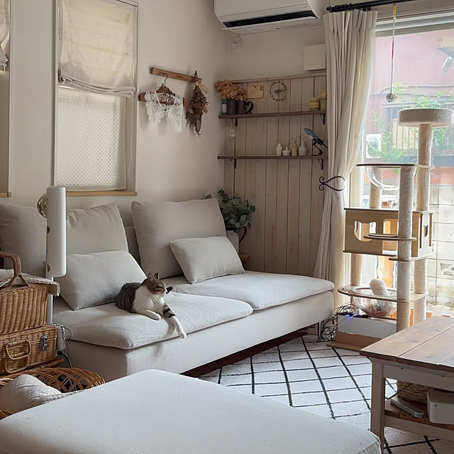 kokkomachaさんの部屋