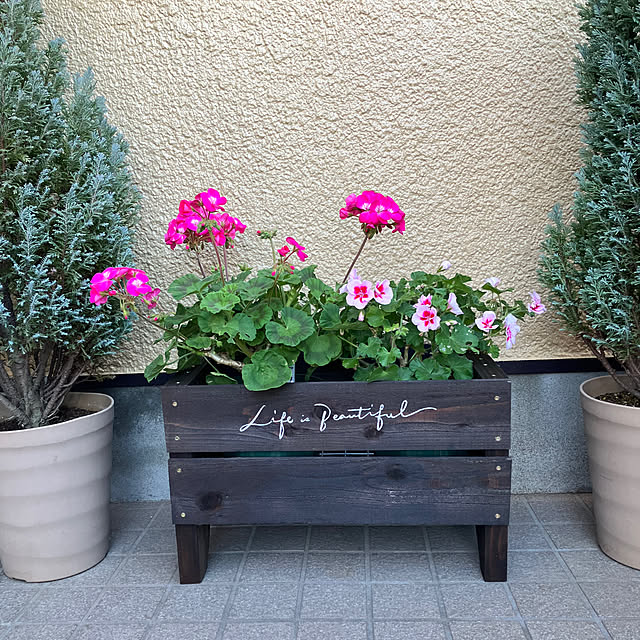 maron915さんの部屋