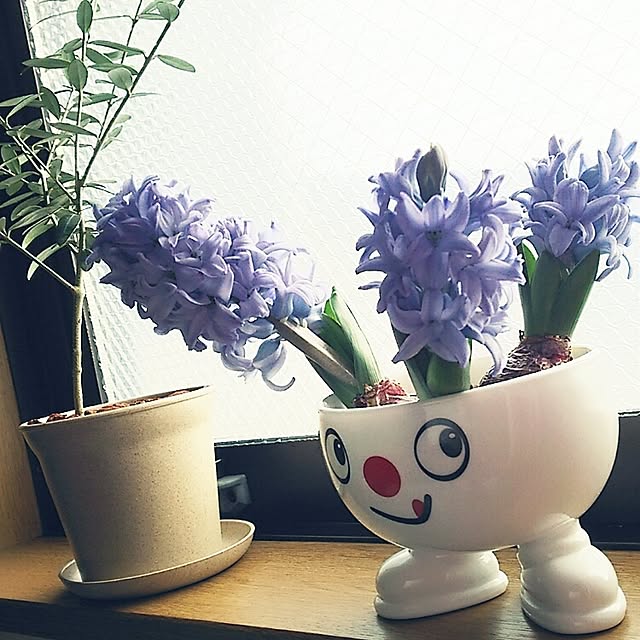 kaoringoさんの実例写真