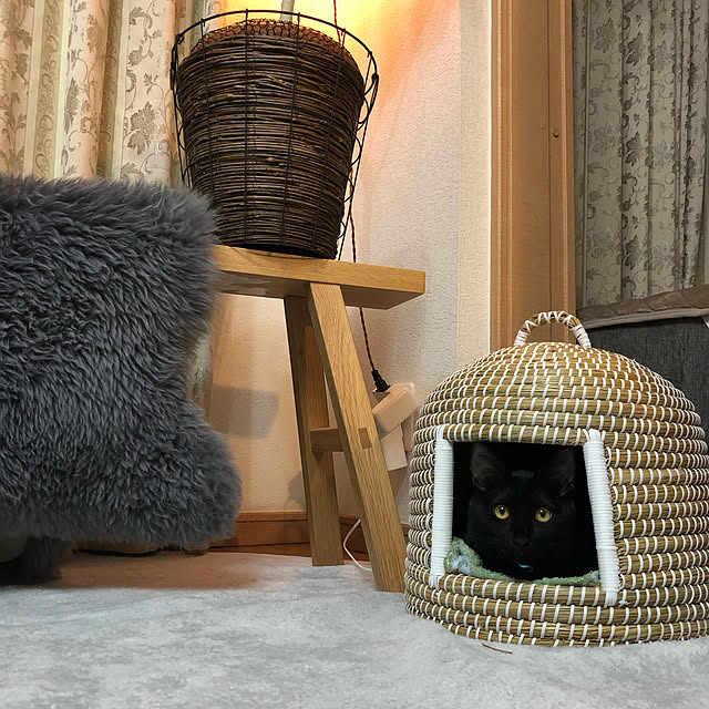 ayutaxさんの実例写真