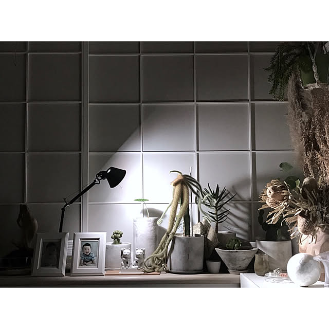 棚/トロメオマイクロ/ミケーレ デ ルッキ/IKEA/スタンドライト...などのインテリア実例 - 2018-12-08 11:49:19