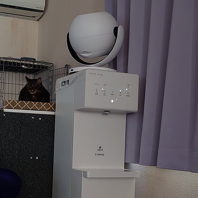 noguriさんの部屋