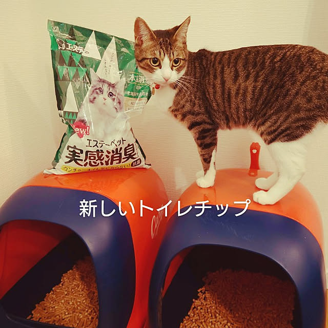 mochicoさんの実例写真