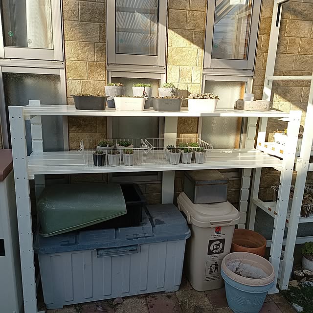 soyokoさんの部屋