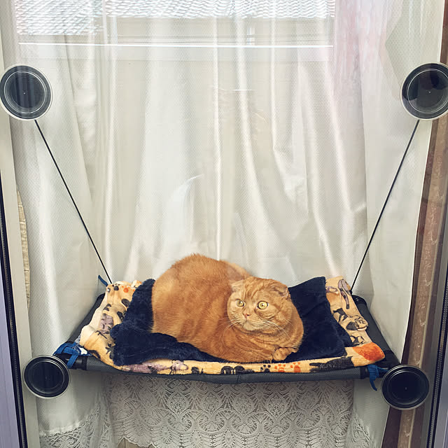 pinaminさんの実例写真