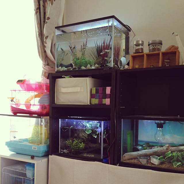 mizutamaさんの実例写真