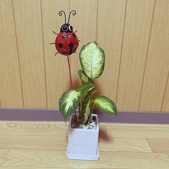 maryunanamamaさんの実例写真