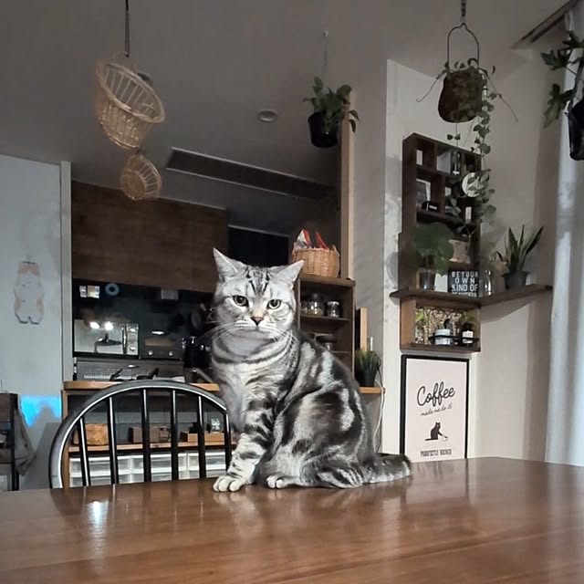 lovepeaceさんの部屋