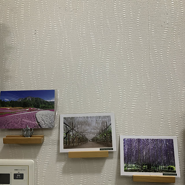 eshinobumさんの実例写真