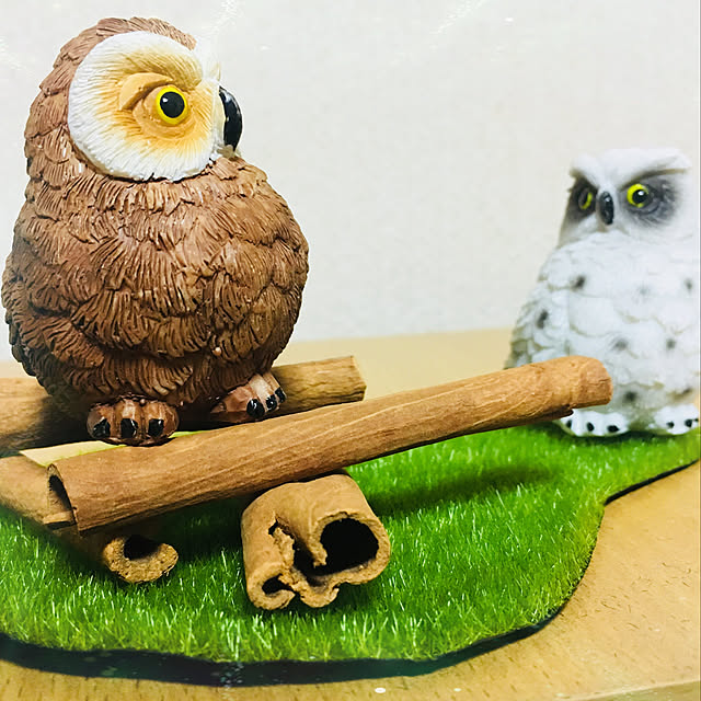 anpanさんの実例写真