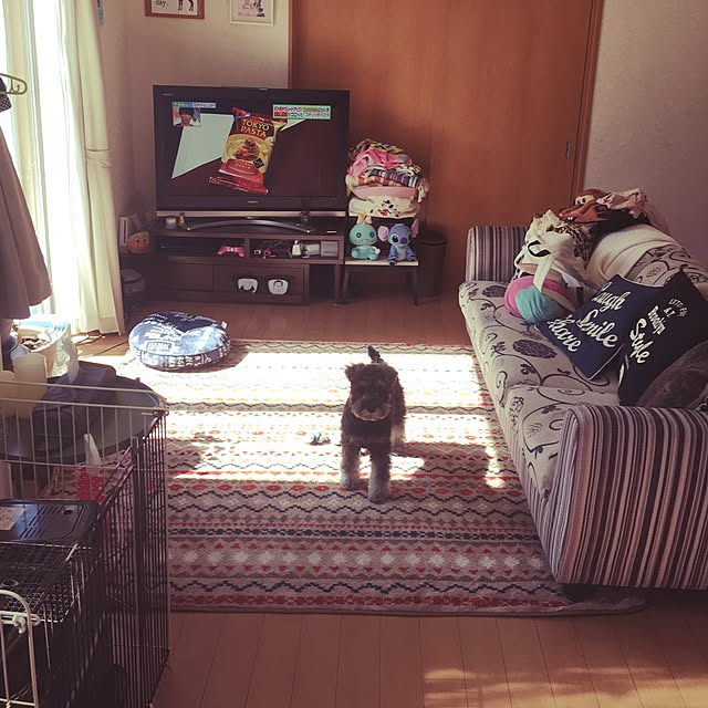 Mikaさんの実例写真