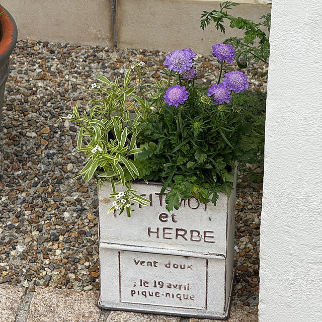 zuccoさんの部屋