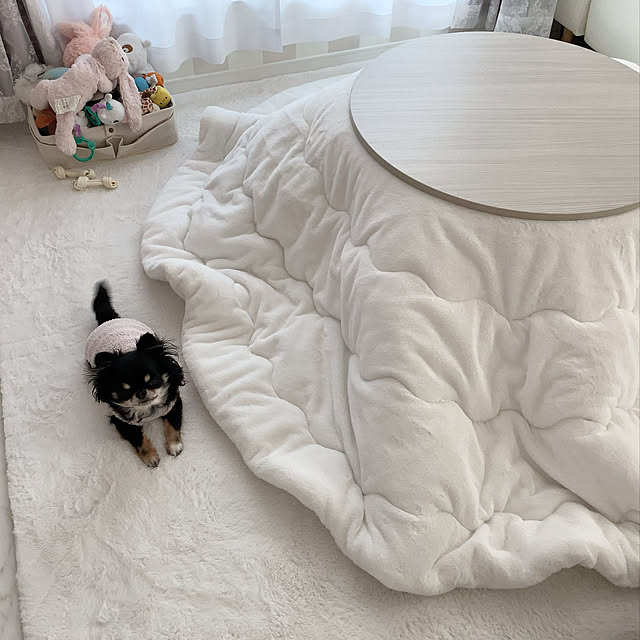 hiraさんの実例写真