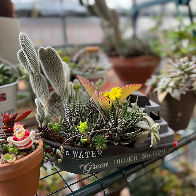 Aqettyさんの実例写真