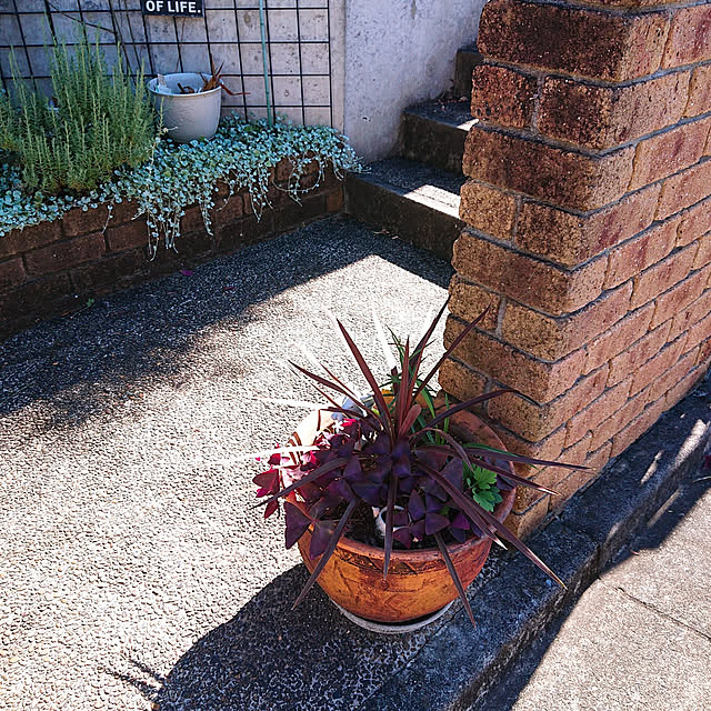 kikiさんの実例写真