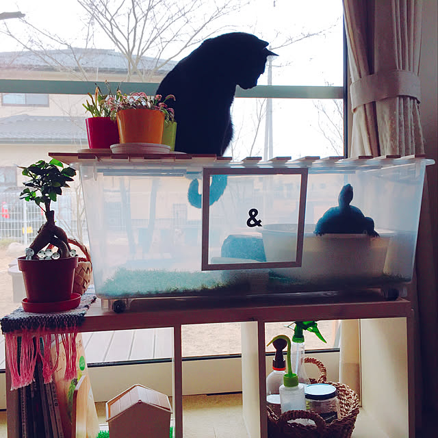 nanaさんの実例写真