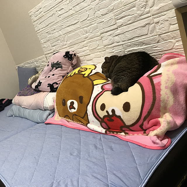 Shizuさんの実例写真
