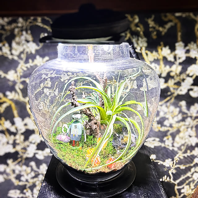 akaidarumaさんの実例写真