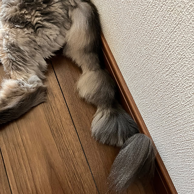 mayumiさんの部屋