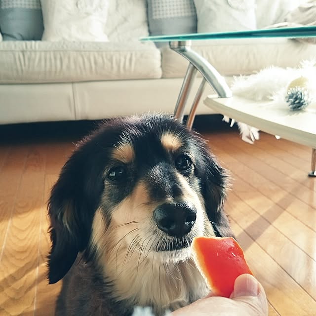 hiyo.pietさんの実例写真
