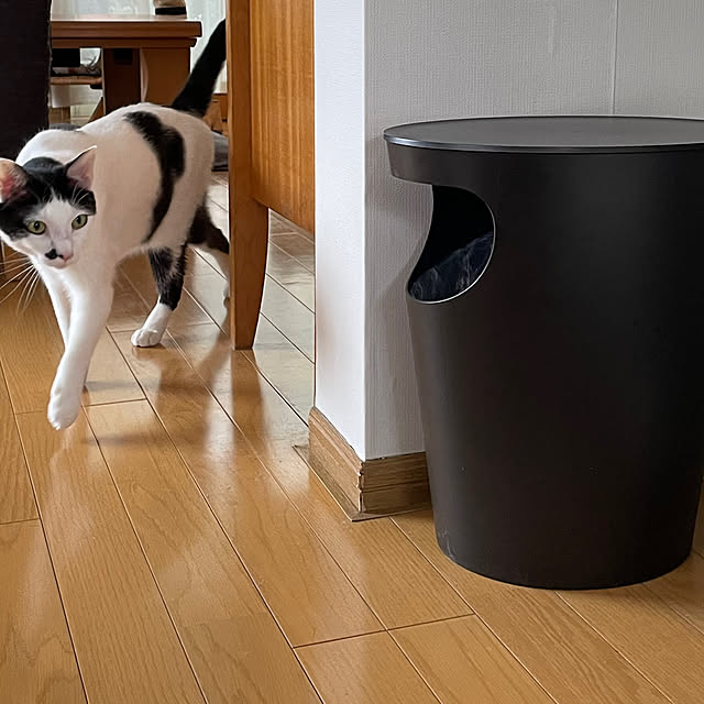nobikoさんの部屋