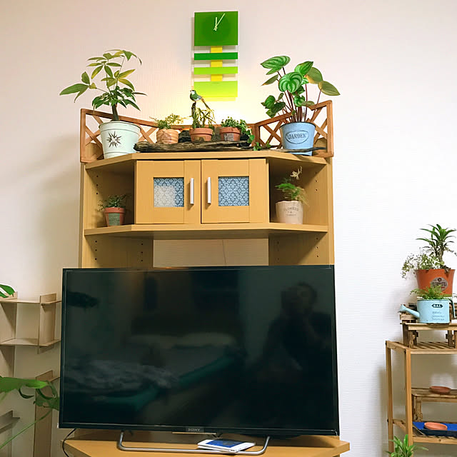 RoomClipアンケート/リビング/趣味/みどりのある暮らし/ナチュラルインテリア...などのインテリア実例 - 2021-10-22 01:45:49