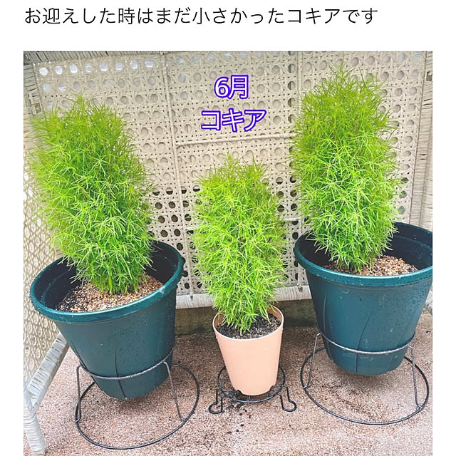 miyuさんの部屋