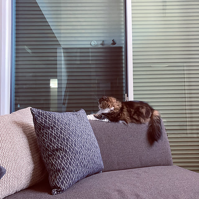 sakiさんの実例写真