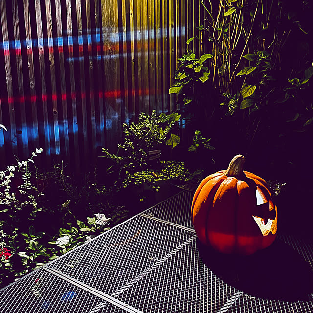 chacoさんの部屋