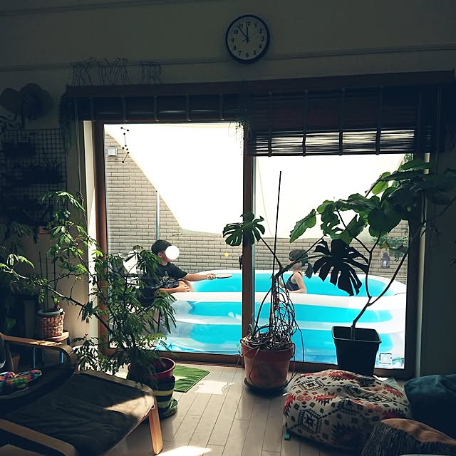 urchinさんの部屋