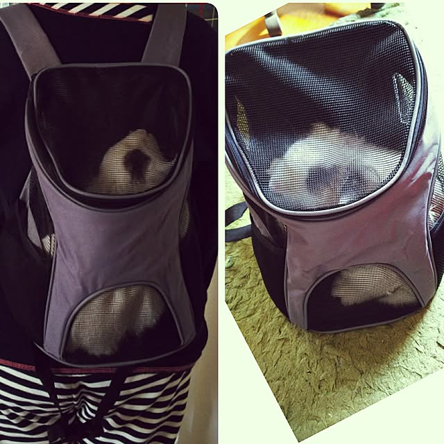 WASABIさんの実例写真