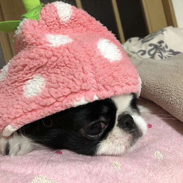 tarumama11jyさんの実例写真